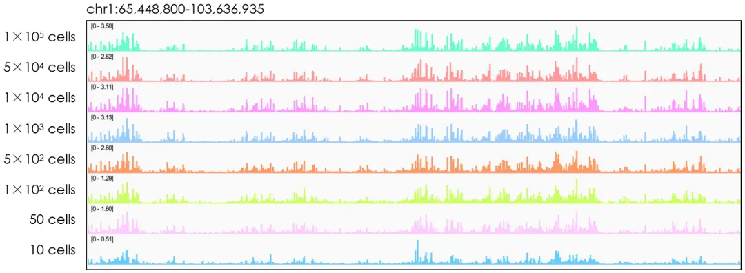 Peak位點(diǎn)準(zhǔn)確有效