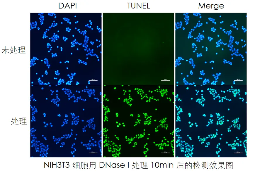 實驗數(shù)據(jù)